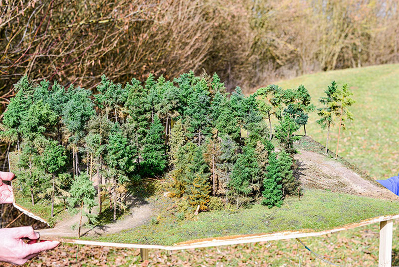 Ein Stückchen Modellwald in der Frühlingssonne im freien abgelichtet. In diesem Modul steckt ein ganzes Bündel innovativer Technik, lass dich überraschen ... aber nicht von Rudi Carrell. Foto: Slg MBB