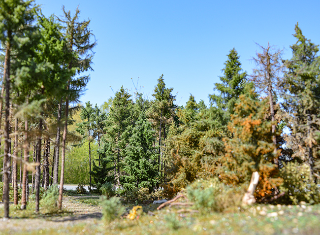 Teutoburger Wald der Modellbundesbahn